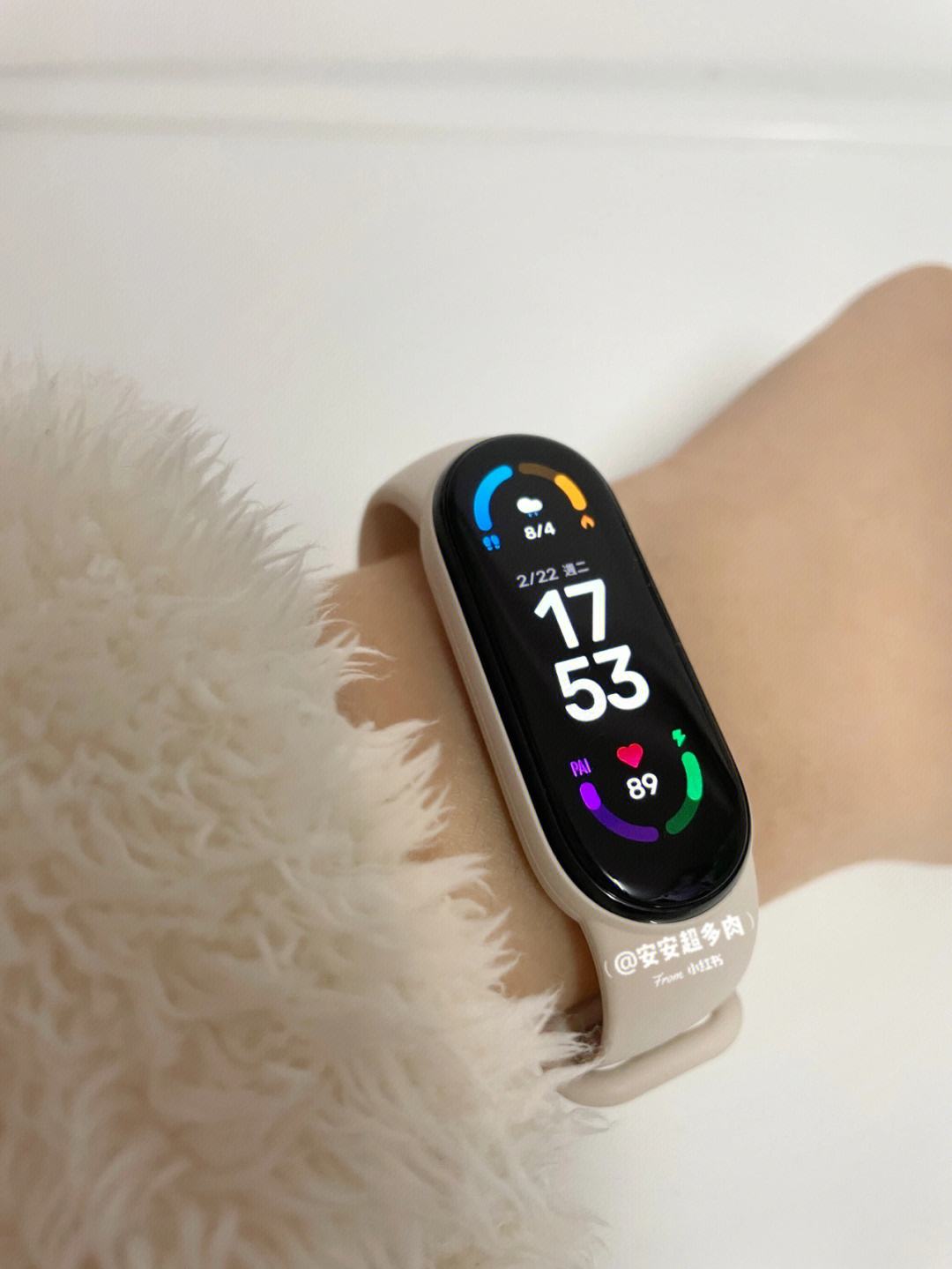 运动手环 科技与健康之间的微妙桥梁